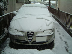 20050304aa.jpg