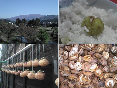 庭から見た風景、栗ご飯、干し柿、胡桃