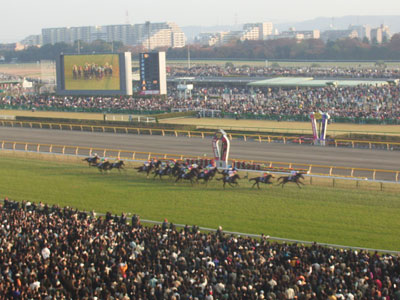 20051127c.jpg