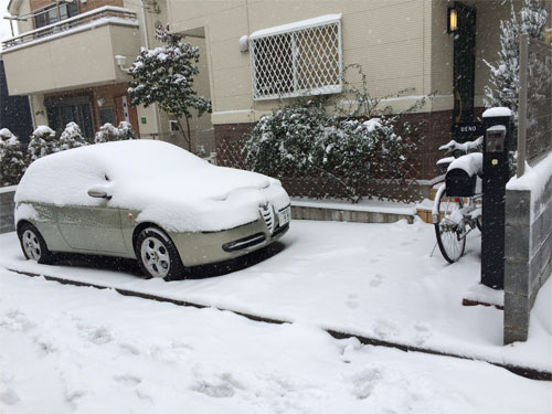 雪化粧したアルファ