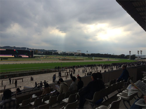 東京競馬場　ガラガラのスタンド