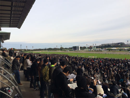 東京競馬場