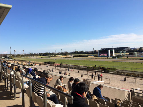 東京競馬場